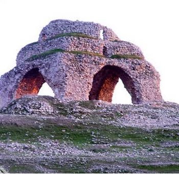 cham_nargesi-1-350x340