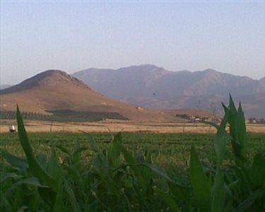 گره چغا